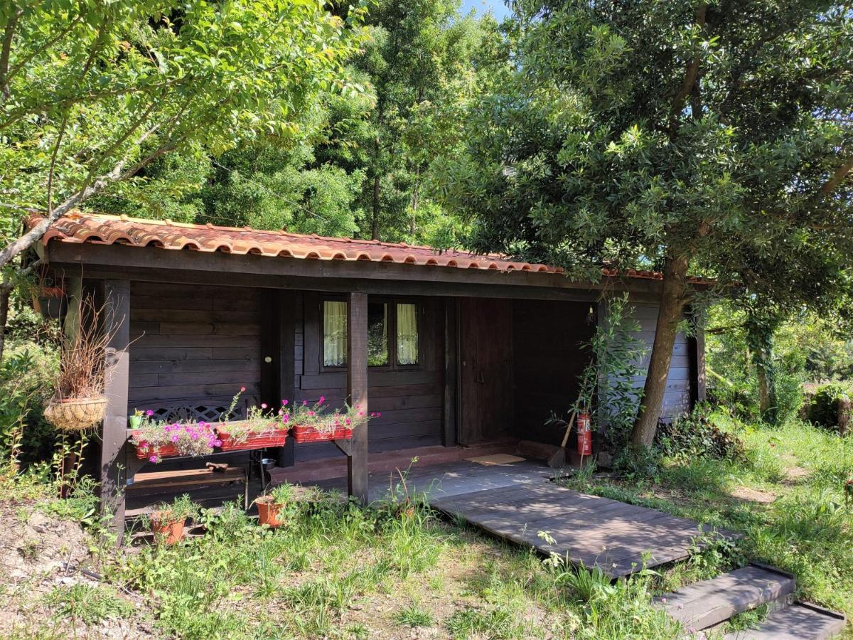 O Cantinho De Coura - A Cabana Paredes de Coura Zewnętrze zdjęcie