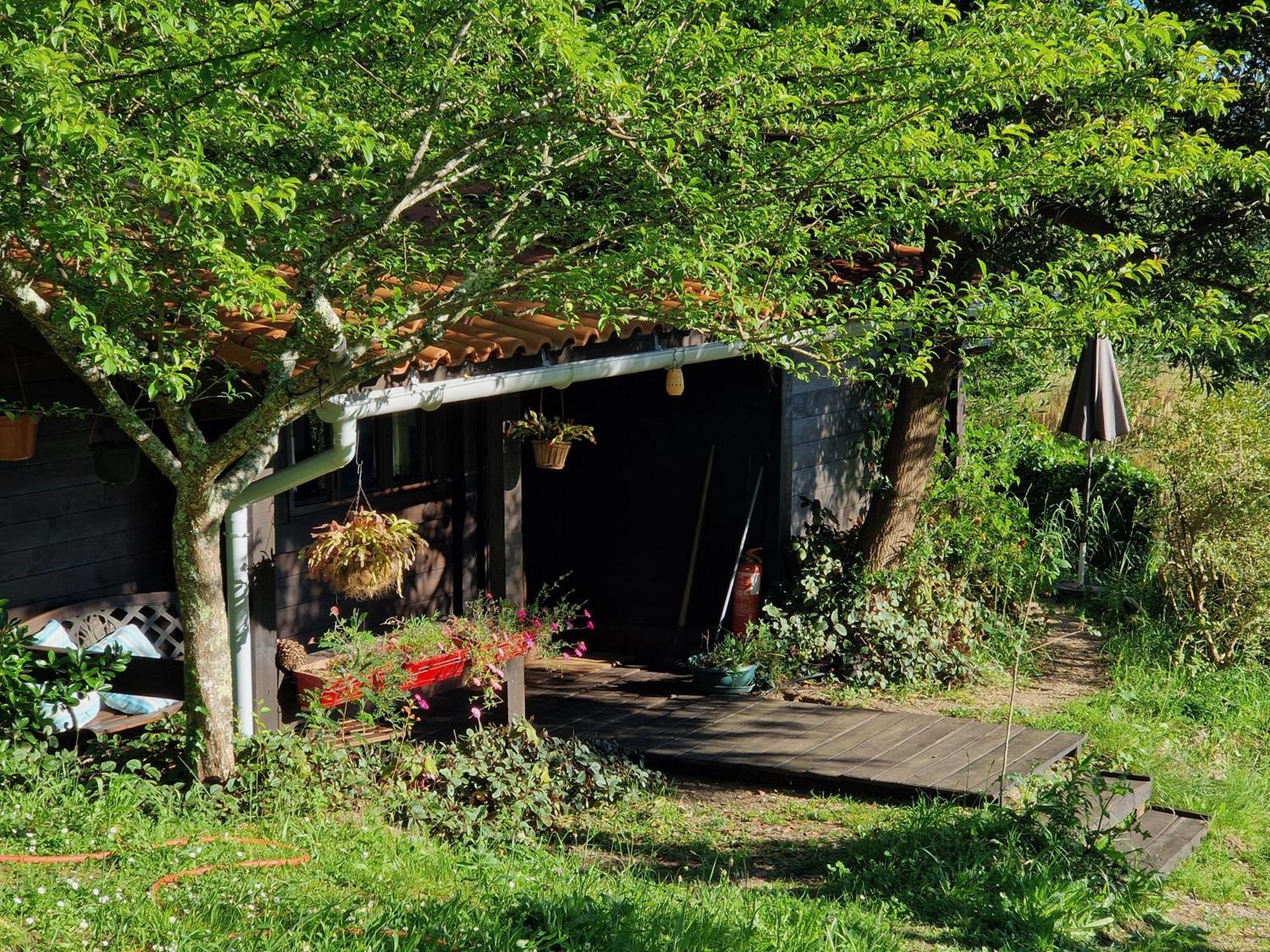 O Cantinho De Coura - A Cabana Paredes de Coura Zewnętrze zdjęcie