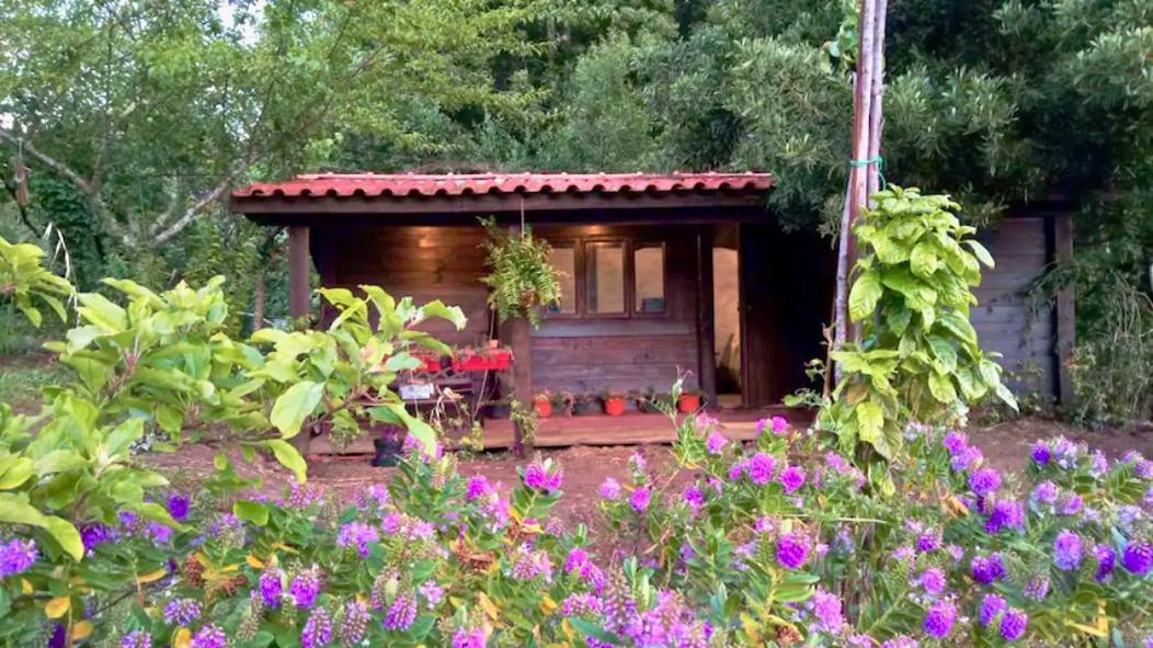 O Cantinho De Coura - A Cabana Paredes de Coura Zewnętrze zdjęcie